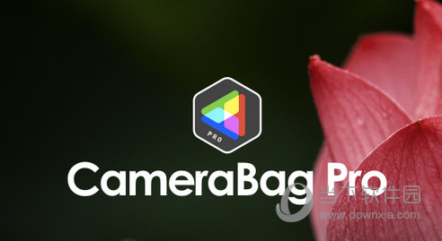 调色工具Win版CameraBag Pro 2023.0.0.jpg