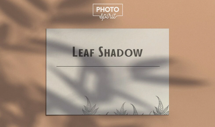 【图片素材】69张植物树叶阳光阴影效果照片合成叠加素材 Leaf Shadow Overlays.png